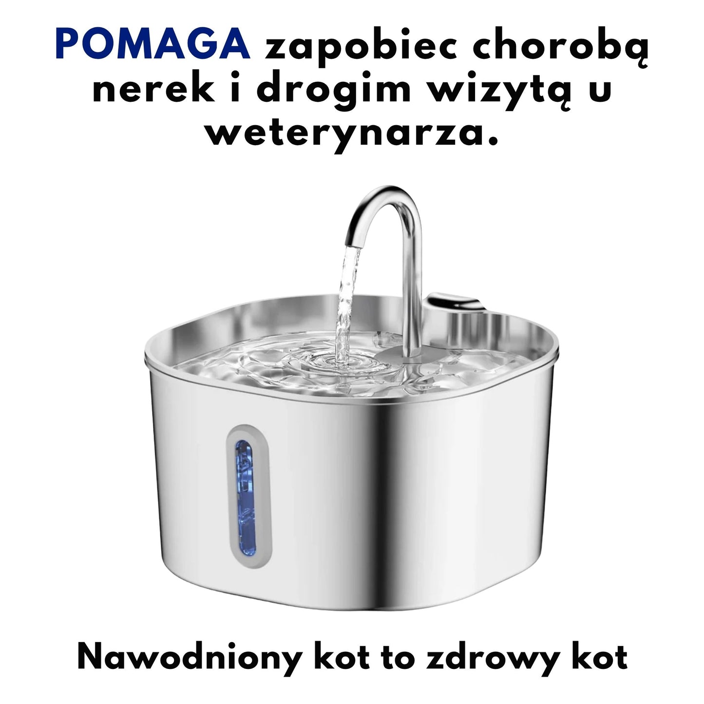 Chroń swojego kota przed infekcjami dróg moczowych, kamieniami i chorobami nerek.