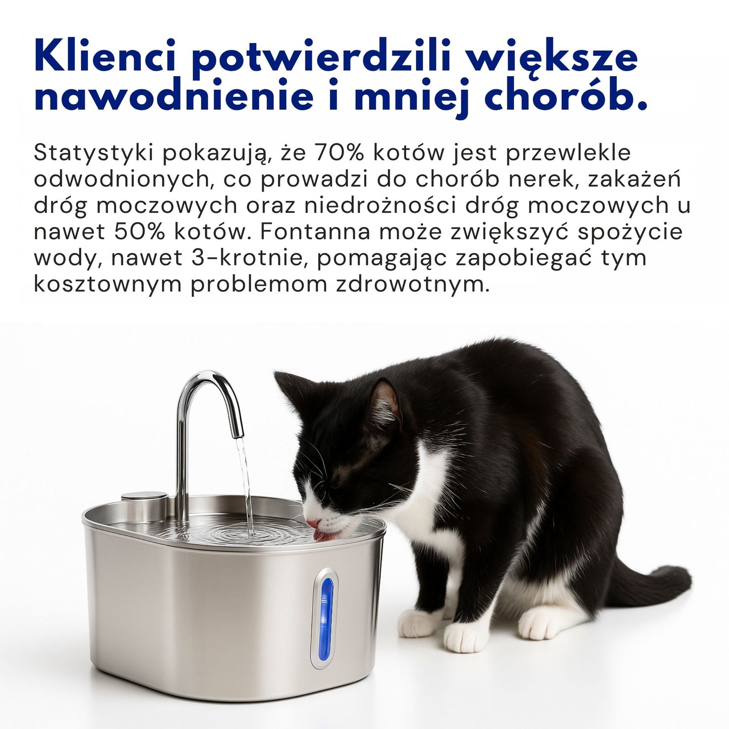 Chroń swojego kota przed infekcjami dróg moczowych, kamieniami i chorobami nerek.