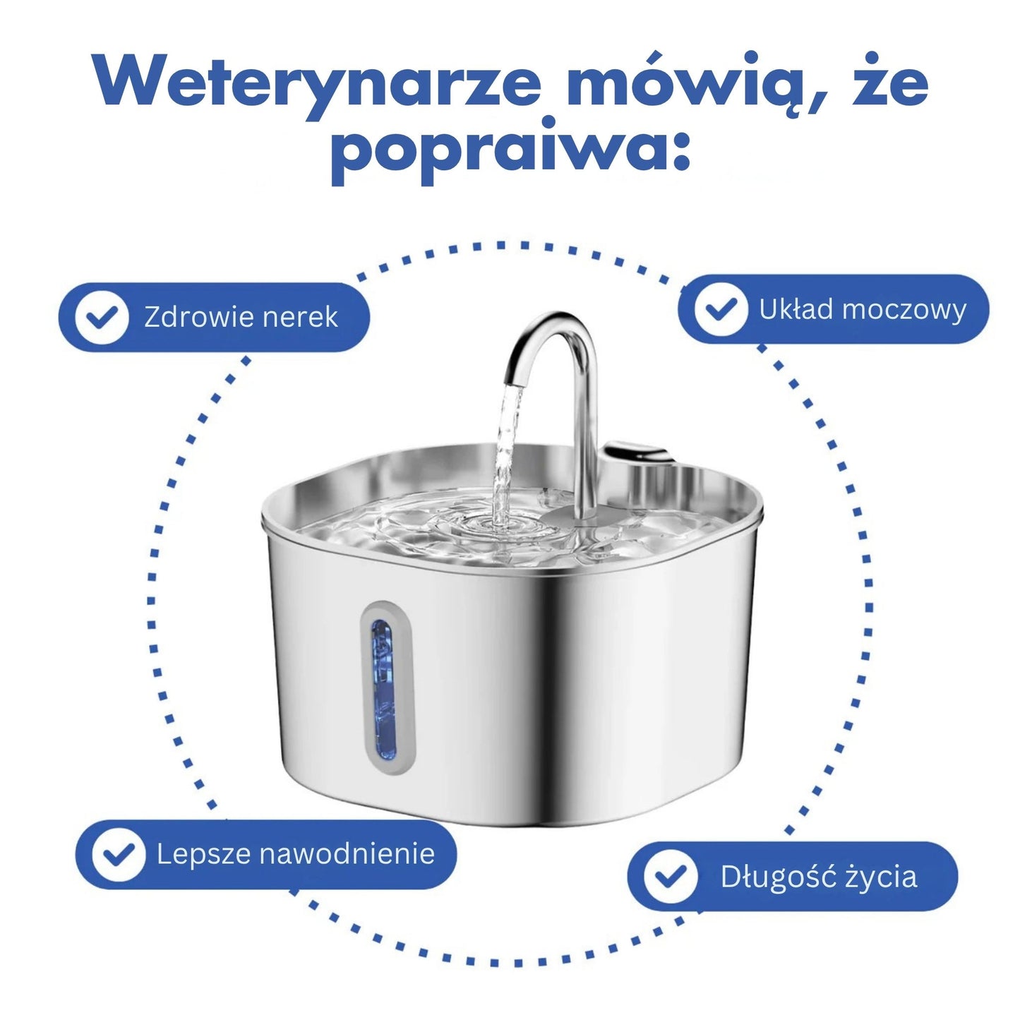 Chroń swojego kota przed infekcjami dróg moczowych, kamieniami i chorobami nerek.