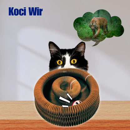 Zapewnij kotu zajęcie na długie godziny i stymulacje umysłową z Kocim Wirem