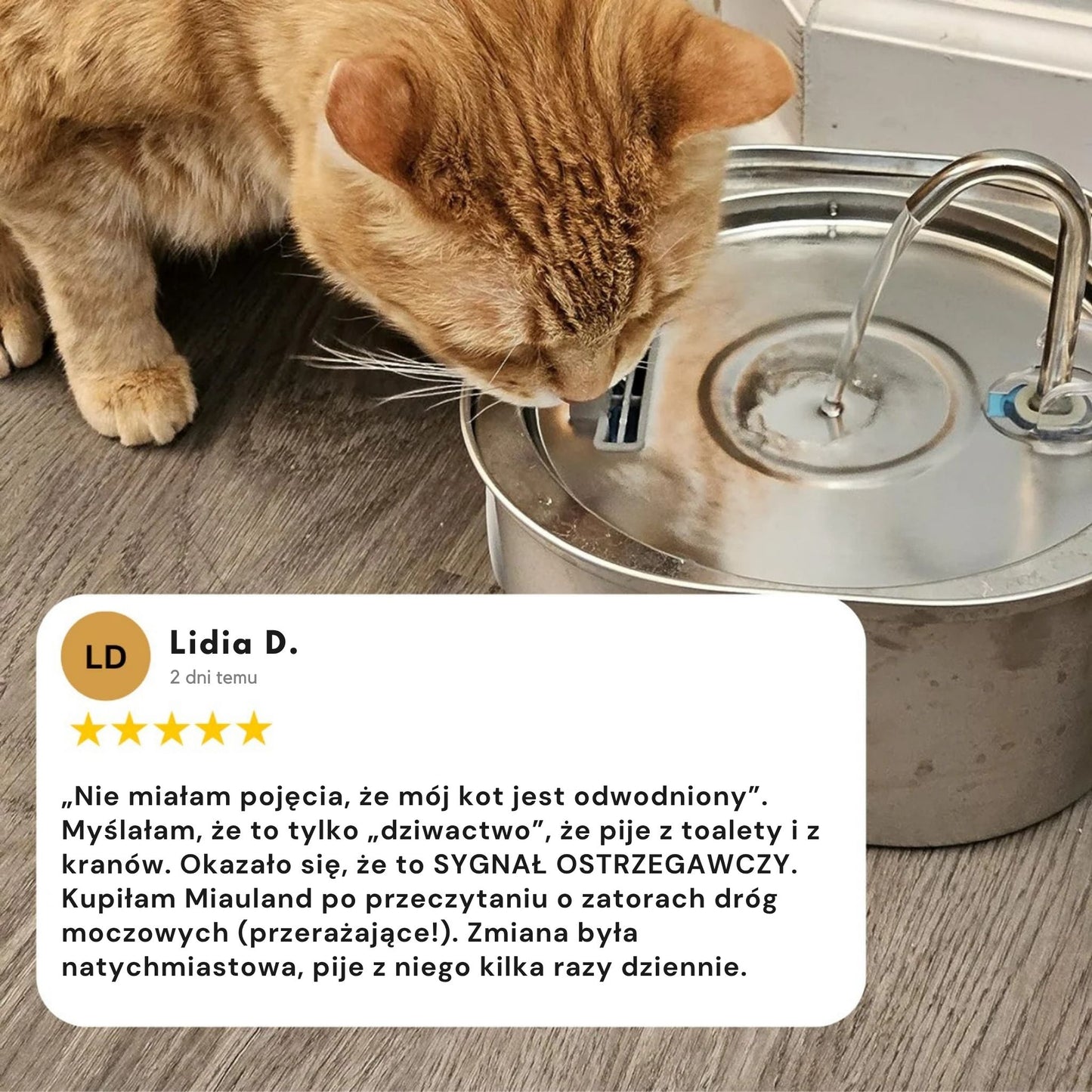 Chroń swojego kota przed infekcjami dróg moczowych, kamieniami i chorobami nerek.