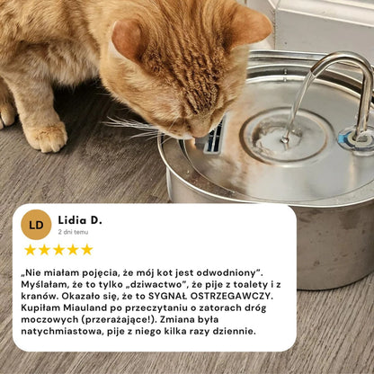 Chroń swojego kota przed infekcjami dróg moczowych, kamieniami i chorobami nerek.