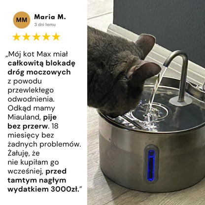 Chroń swojego kota przed infekcjami dróg moczowych, kamieniami i chorobami nerek.